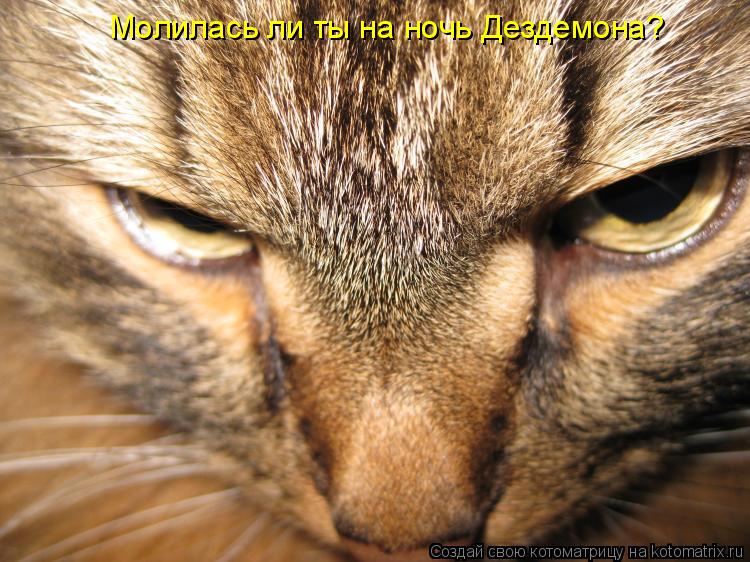 Молилась ли ты на ночь Дездемона?... Котоматрица: Молилась ли ты на ночь Дездемона?