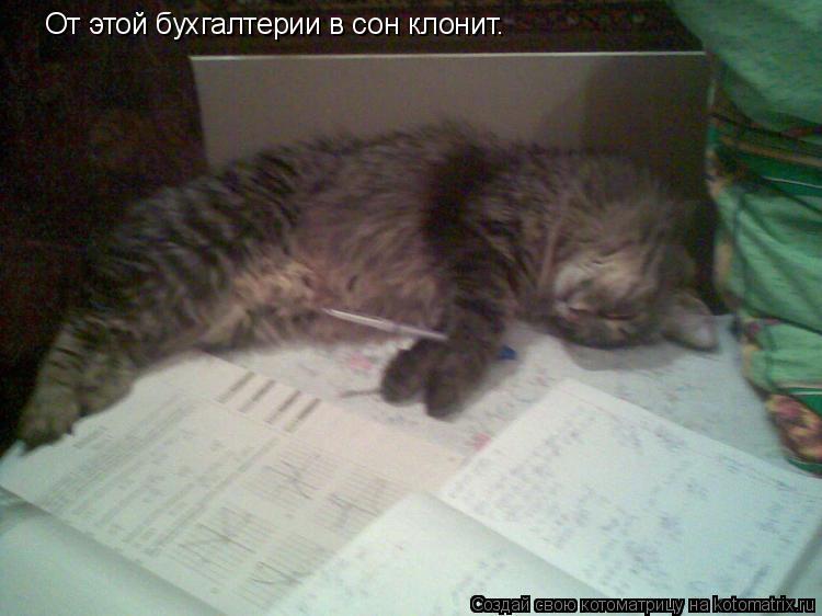 Котоматрица: От этой бухгалтерии в сон клонит.