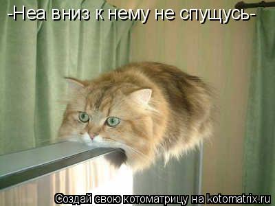 -Неа вниз к нему не спущусь-... Котоматрица: -Неа вниз к нему не спущусь-