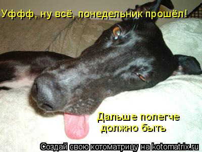 Котоматрица: Уффф, ну всё, понедельник прошёл! Дальше полегче  должно быть