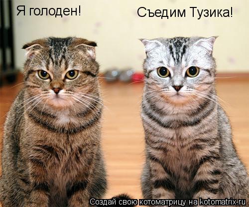 Я голоден! Съедим Тузика!... Котоматрица: Я голоден! Съедим Тузика!