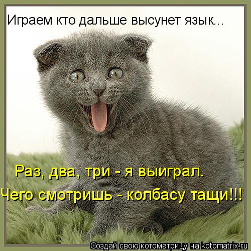 Котоматрица: Играем кто дальше высунет язык... Раз, два, три - я выиграл. Чего смотришь - колбасу тащи!!!