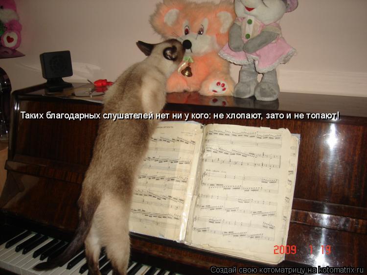 Котоматрица: Таких благодарных слушателей нет ни у кого: не хлопают, зато и не топают!