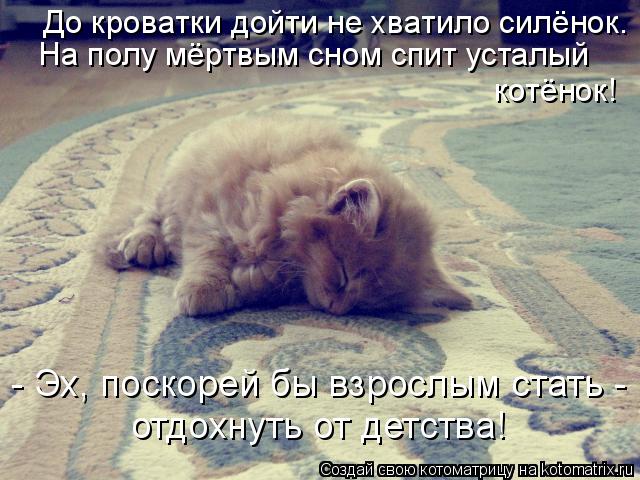 До кроватки дойти не хватило силёнок. На полу мёртвым сном спит усталый котёнок! - Эх, поскорей бы вз... Котоматрица: До кроватки дойти не хватило силёнок. На полу мёртвым сном спит усталый котёнок! - Эх, поскорей бы взрослым стать - отдохнуть от детства!