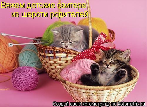 Вяжем детские свитера из шерсти родителей... Котоматрица: Вяжем детские свитера из шерсти родителей