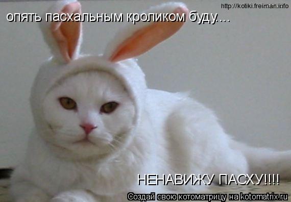 Котоматрица: опять пасхальным кроликом буду.... НЕНАВИЖУ ПАСХУ!!!!