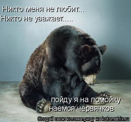 Котоматрица: Никто меня не любит... Никто не уважает..... пойду я на помойку наемся червячков