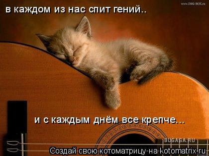 в каждом из нас спит гений.. и с каждым днём все крепче...... Котоматрица: в каждом из нас спит гений.. и с каждым днём все крепче...