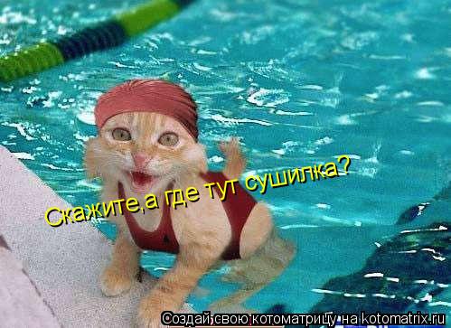 Скажите,а где тут сушилка???И раздевалка...... Скажите,а где тут сушилка?... Котоматрица: Скажите,а где тут сушилка???И раздевалка...... Скажите,а где тут сушилка?