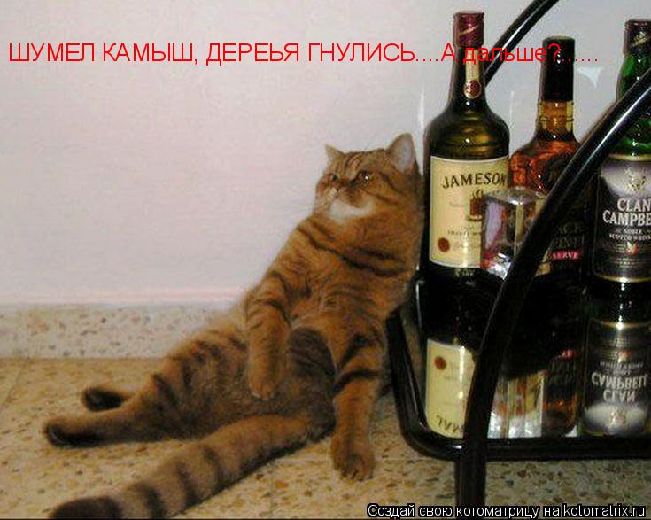 ШУМЕЛ КАМЫШ, ДЕРЕЬЯ ГНУЛИСЬ....А дальше?......... Котоматрица: ШУМЕЛ КАМЫШ, ДЕРЕЬЯ ГНУЛИСЬ....А дальше?......