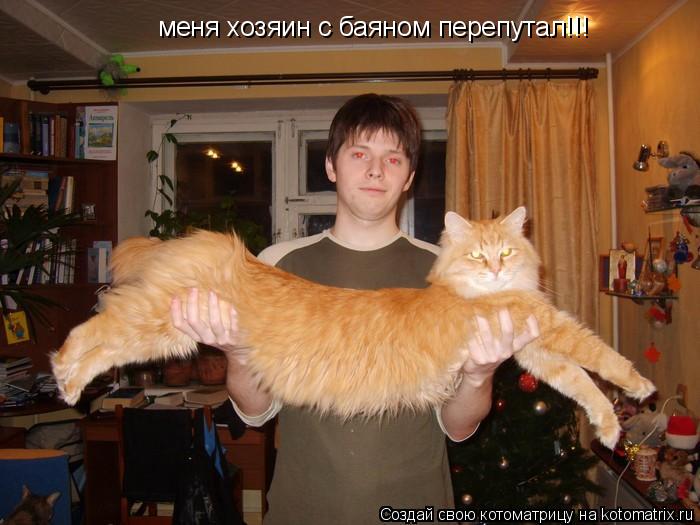 Котоматрица: меня хозяин с баяном перепутал!!!