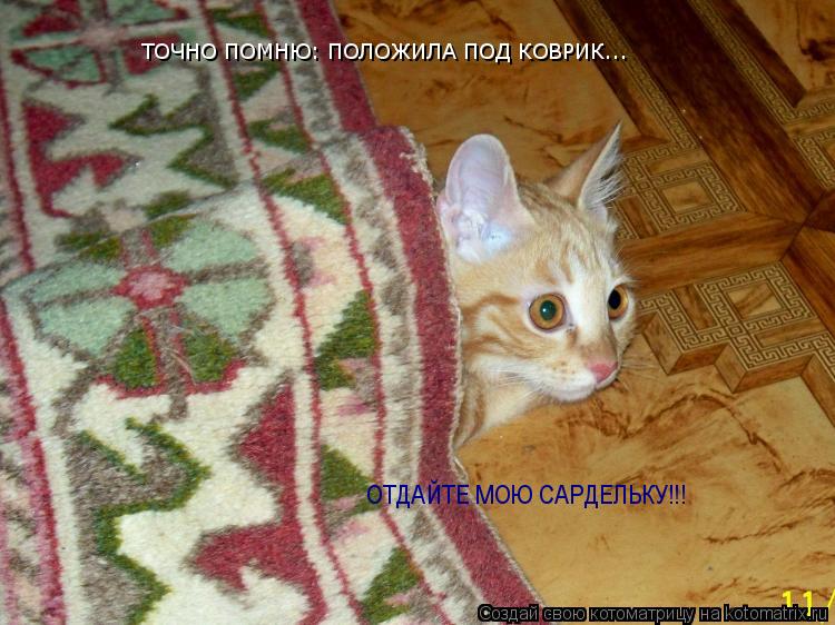 ТОЧНО ПОМНЮ: ПОЛОЖИЛА ПОД КОВРИК... ОТДАЙТЕ МОЮ САРДЕЛЬКУ!!!... Котоматрица: ТОЧНО ПОМНЮ: ПОЛОЖИЛА ПОД КОВРИК... ОТДАЙТЕ МОЮ САРДЕЛЬКУ!!!