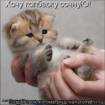 Котоматрица: Хочу колбаску сочнуЮ!
