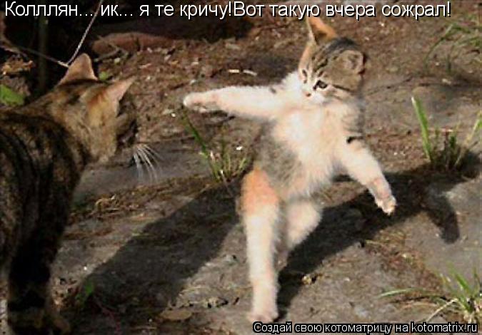 Котоматрица: Колллян... ик... я те кричу!Вот такую вчера сожрал!