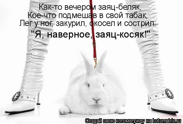 Как-то вечером заяц-беляк, Кое-что подмешав в свой табак, Лег у ног, закурил, окосел и сострил: "Я, н... Котоматрица: Как-то вечером заяц-беляк, Кое-что подмешав в свой табак, Лег у ног, закурил, окосел и сострил: "Я, наверное, заяц-косяк!"