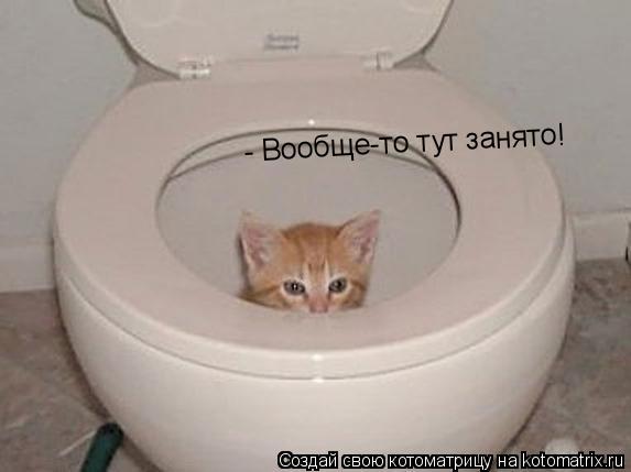 - Вообще-то тут занято!... Котоматрица: - Вообще-то тут занято!