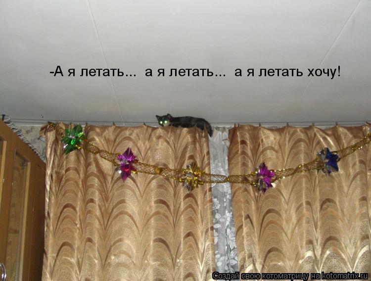 -А я летать... а я летать... а я летать хочу!... Котоматрица: -А я летать... а я летать... а я летать хочу!