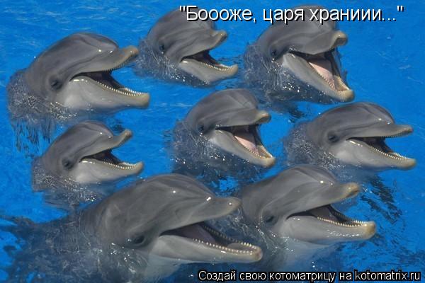 "Боооже, царя храниии..."... Котоматрица: "Боооже, царя храниии..."