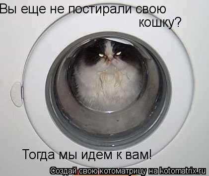Котоматрица: Вы еще не постирали свою  кошку? Тогда мы идем к вам!