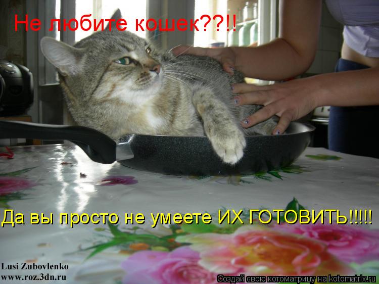 Котоматрица: Не любите кошек??!! Да вы просто не умеете ИХ ГОТОВИТЬ!!!!!