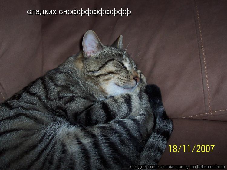 Котоматрица: сладких сноффффффффф