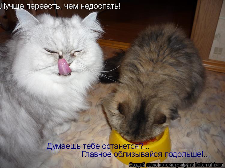Лучше переесть, чем недоспать! Думаешь тебе останется?... Главное облизывайся подольше!...... Котоматрица: Лучше переесть, чем недоспать! Думаешь тебе останется?... Главное облизывайся подольше!...