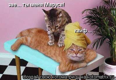 Котоматрица: кайф.... зае... ты меня Маруся!