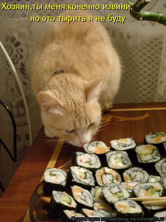 но это тырить я не буду Хозяин,ты меня конечно извини,... Котоматрица: но это тырить я не буду Хозяин,ты меня конечно извини,