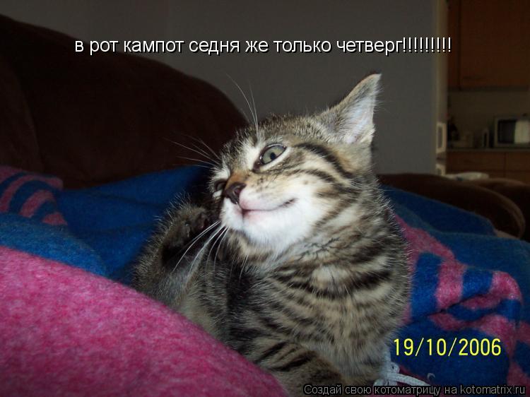 Котоматрица: в рот кампот седня же только четверг!!!!!!!!!