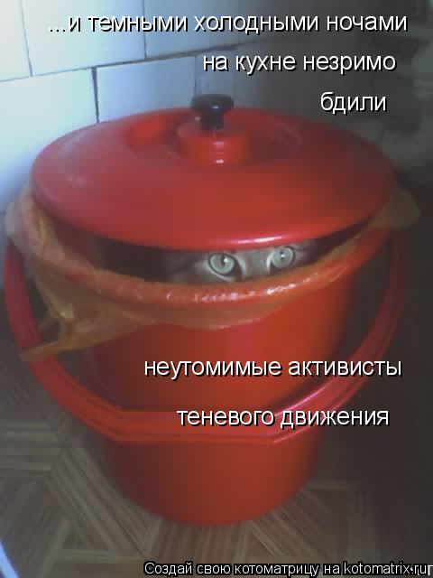 ...и темными холодными ночами на кухне незримо бдили неутомимые активисты теневого движения... Котоматрица: ...и темными холодными ночами на кухне незримо бдили неутомимые активисты теневого движения