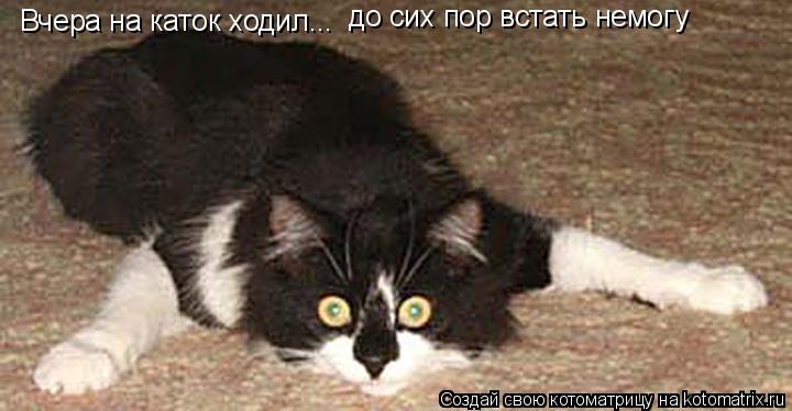 Котоматрица: Вчера на каток ходил... до сих пор встать немогу