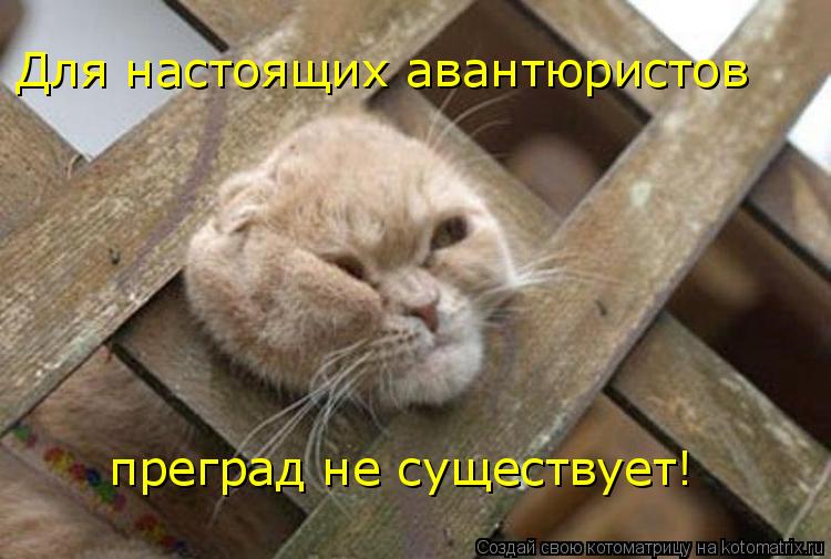 Для настоящих авантюристов преград не существует!... Котоматрица: Для настоящих авантюристов преград не существует!