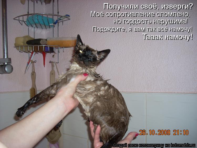 Котоматрица: Получили своё, изверги? Моё сопротивление сломлено, но гордость нерушима! Подождите, я вам так всё намочу! Тааак намочу!