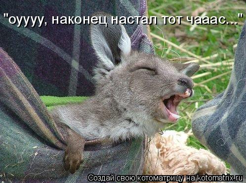 Котоматрица: "оуууу, наконец настал тот чааас..."