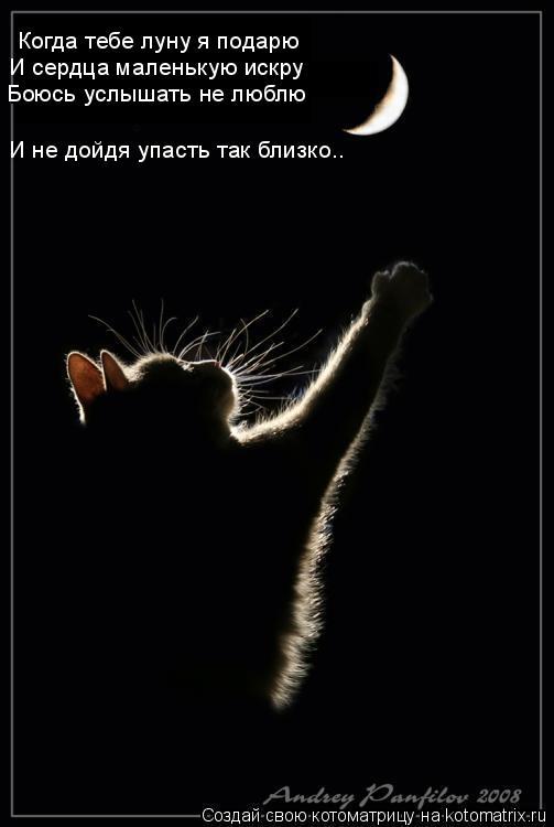 Когда тебе луну я подарю И сердца маленькую искру Боюсь услышать не люблю И не дойдя упасть так бли... Котоматрица: Когда тебе луну я подарю И сердца маленькую искру Боюсь услышать не люблю И не дойдя упасть так близко..