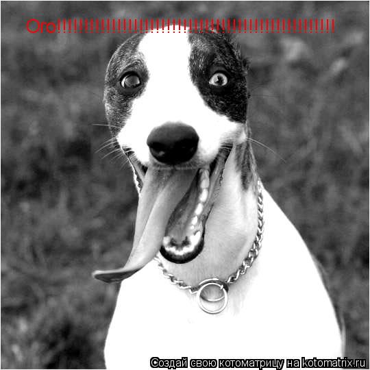 Ого!!!!!!!!!!!!!!!!!!!!!!!!!!!!!!!!!!!!!!!!!!!!!!!!!!!... Котоматрица: Ого!!!!!!!!!!!!!!!!!!!!!!!!!!!!!!!!!!!!!!!!!!!!!!!!!!!