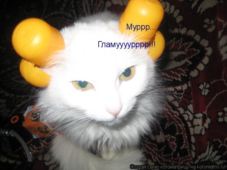 Котоматрица: Муррр... Гламуууурррр!!!
