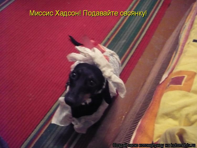 Котоматрица: Миссис Хадсон! Подавайте овсянку!