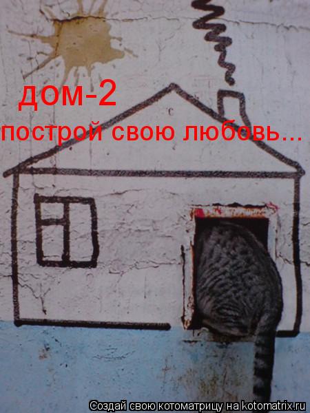 Котоматрица: дом-2 построй свою любовь...