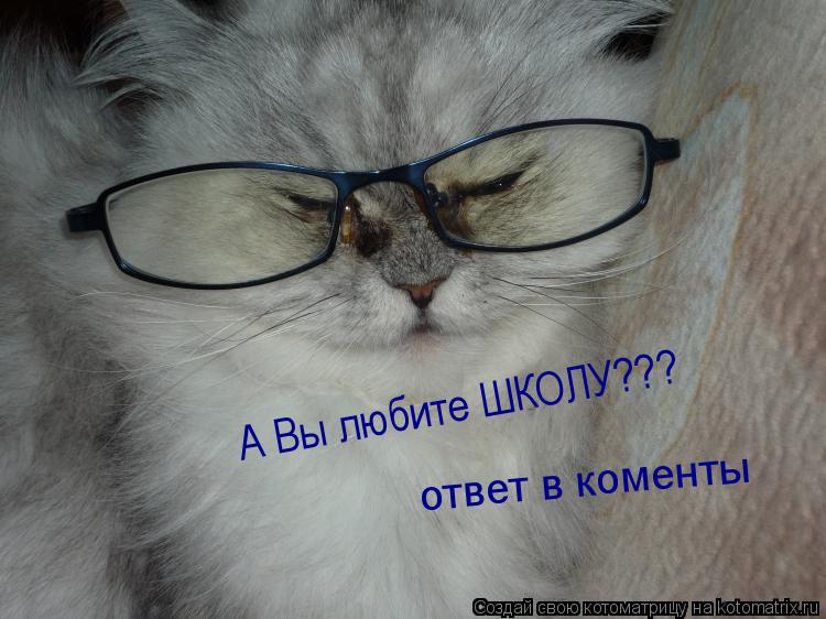 А Вы любите ШКОЛУ??? ответ в коменты... Котоматрица: А Вы любите ШКОЛУ??? ответ в коменты