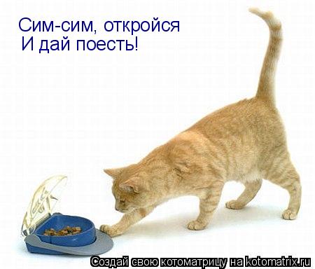 Котоматрица: Сим-сим, откройся   И дай поесть!
