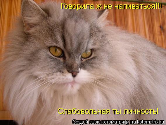 Говорила ж не напиваться!!! Слабовольная ты личность!... Котоматрица: Говорила ж не напиваться!!! Слабовольная ты личность!