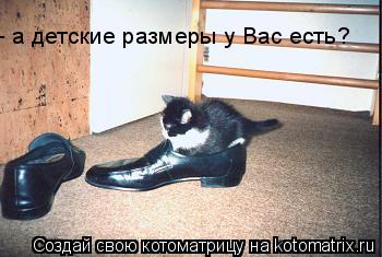 - а детские размеры у Вас есть?... Котоматрица: - а детские размеры у Вас есть?