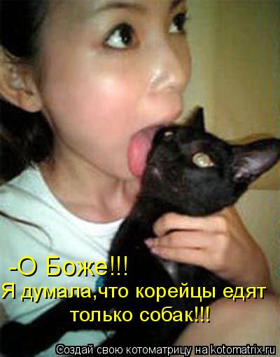 -О Боже!!! Я думала,что корейцы едят только собак!!!... Котоматрица: -О Боже!!! Я думала,что корейцы едят только собак!!!