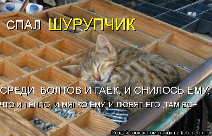 Котоматрица: СПАЛ    ШУРУПЧИК  СРЕДИ  БОЛТОВ И ГАЕК, И СНИЛОСЬ ЕМУ, ЧТО И ТЕПЛО, И МЯГКО ЕМУ, И ЛЮБЯТ ЕГО ,ТАМ ВСЕ...