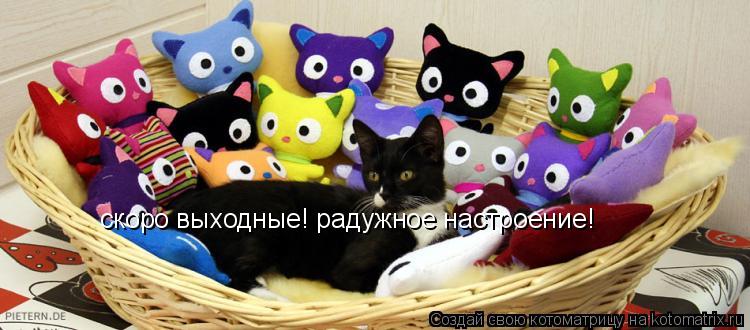 скоро выходные! радужное настроение!... Котоматрица: скоро выходные! радужное настроение!