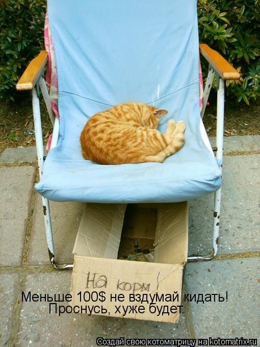 Меньше 100$ не вздумай кидать! Проснусь, хуже будет.... Котоматрица: Меньше 100$ не вздумай кидать! Проснусь, хуже будет.