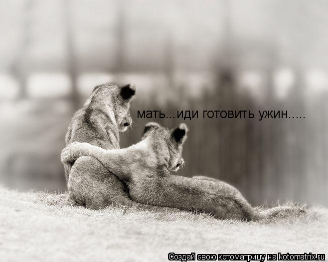 Котоматрица: мать...иди готовить ужин.....