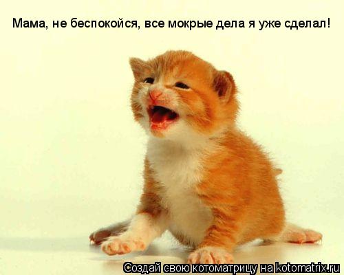Котоматрица: Мама, не беспокойся, все мокрые дела я уже сделал!
