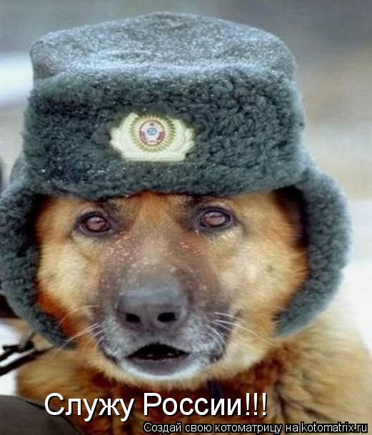 Котоматрица: Служу России!!!
